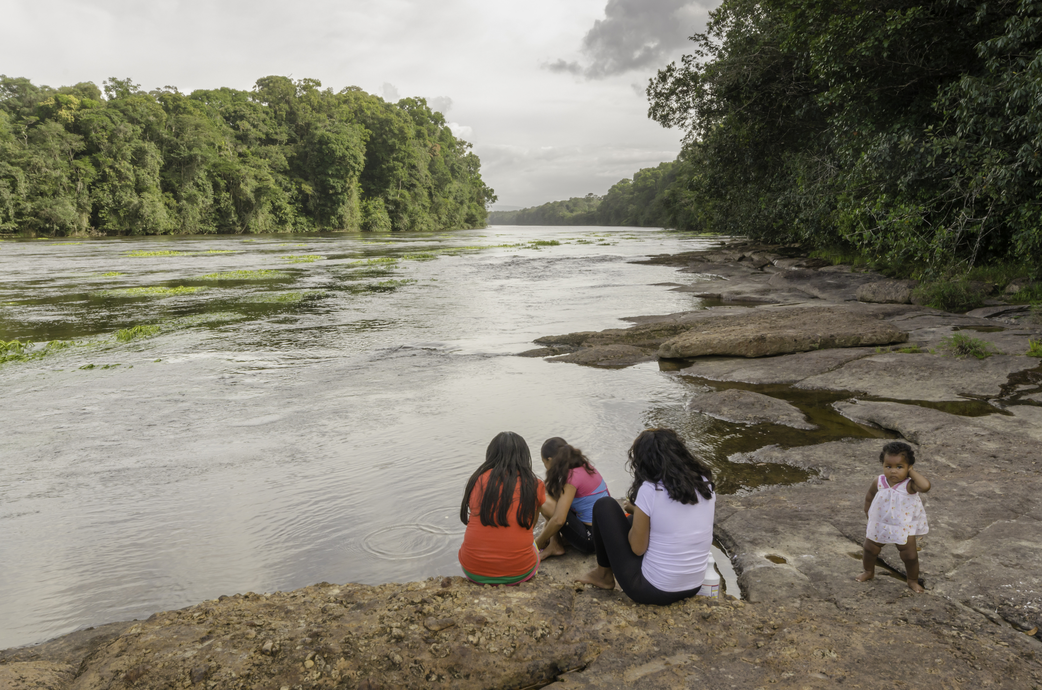 Scenic river in Guyana
